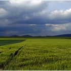 Regen werden wir kriegen