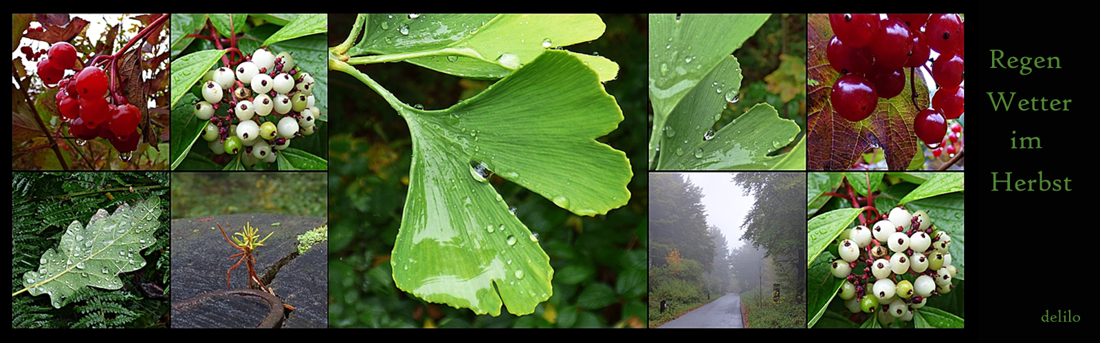 Regen-Wetter im Herbst