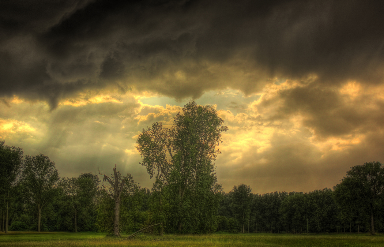 Regen Wind Licht