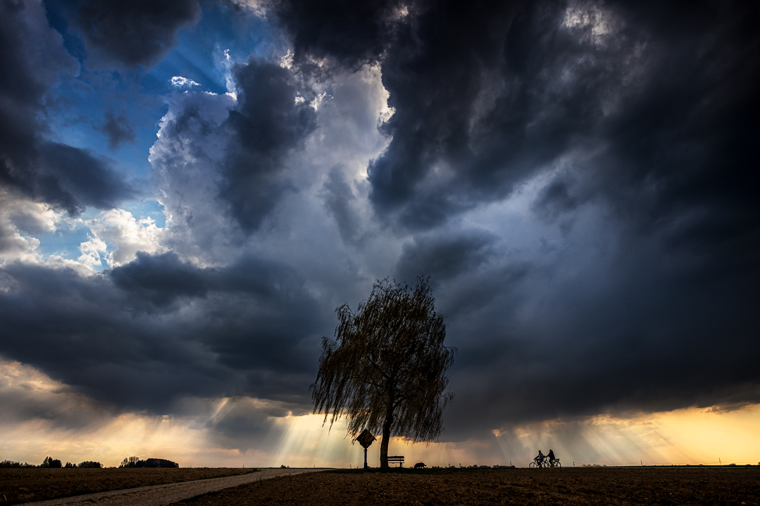 regen zieht auf ...