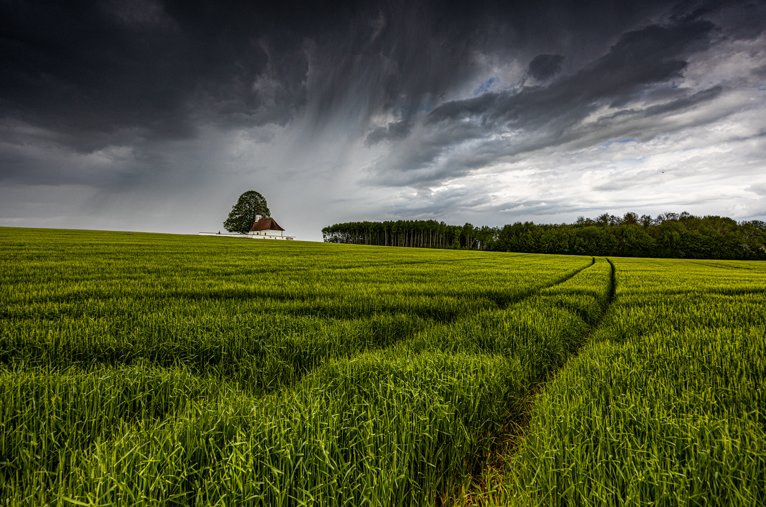 regen zieht auf 