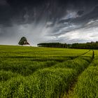 regen zieht auf 