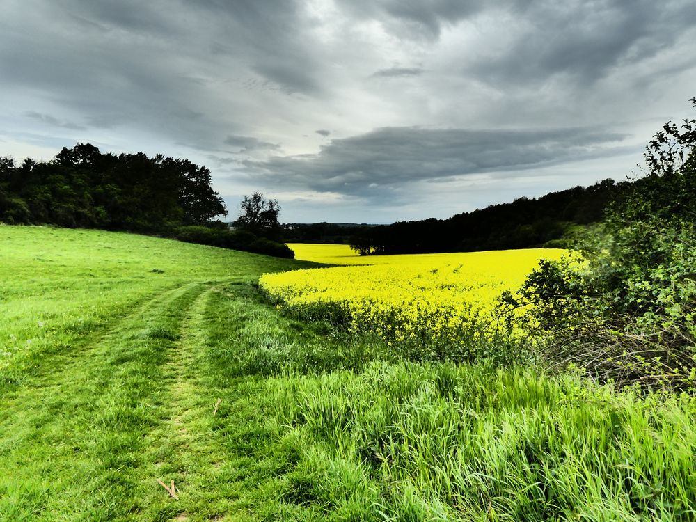  Regen  zieht auf Foto Bild  landschaft cker felder 