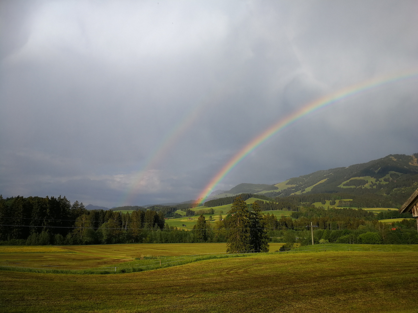 Regenboegen