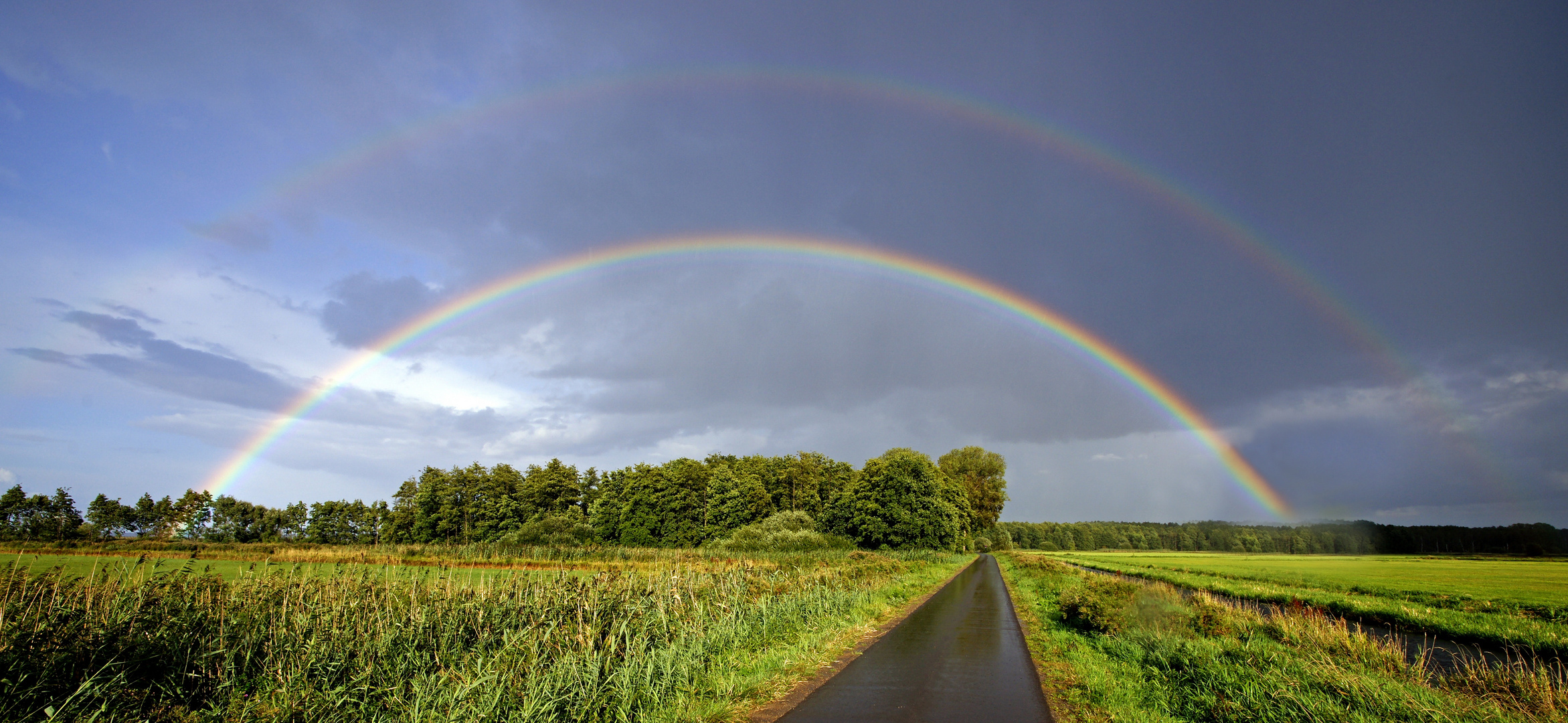 Regenbögen