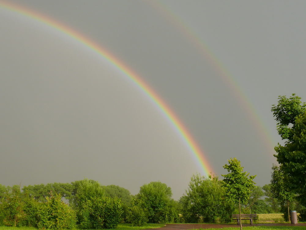 Regenbögen