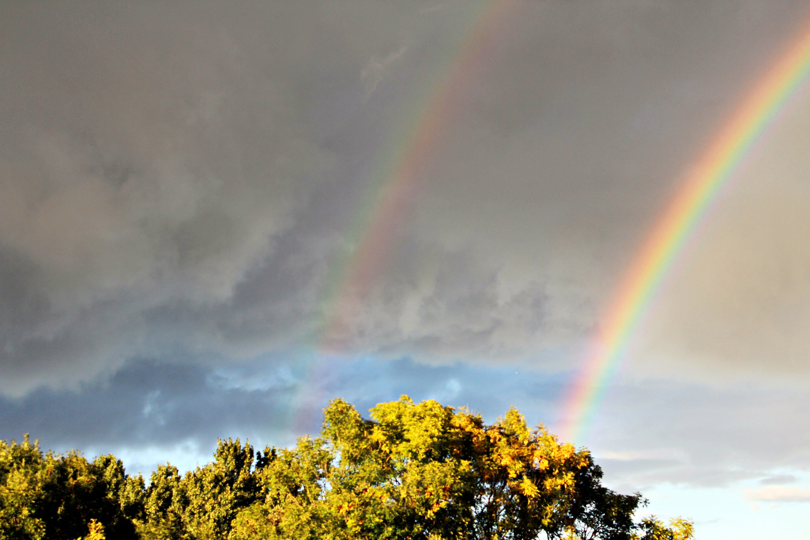 Regenbögen im Herbst