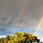 Regenbögen im Herbst