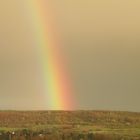 Regenbögen über Güdingen