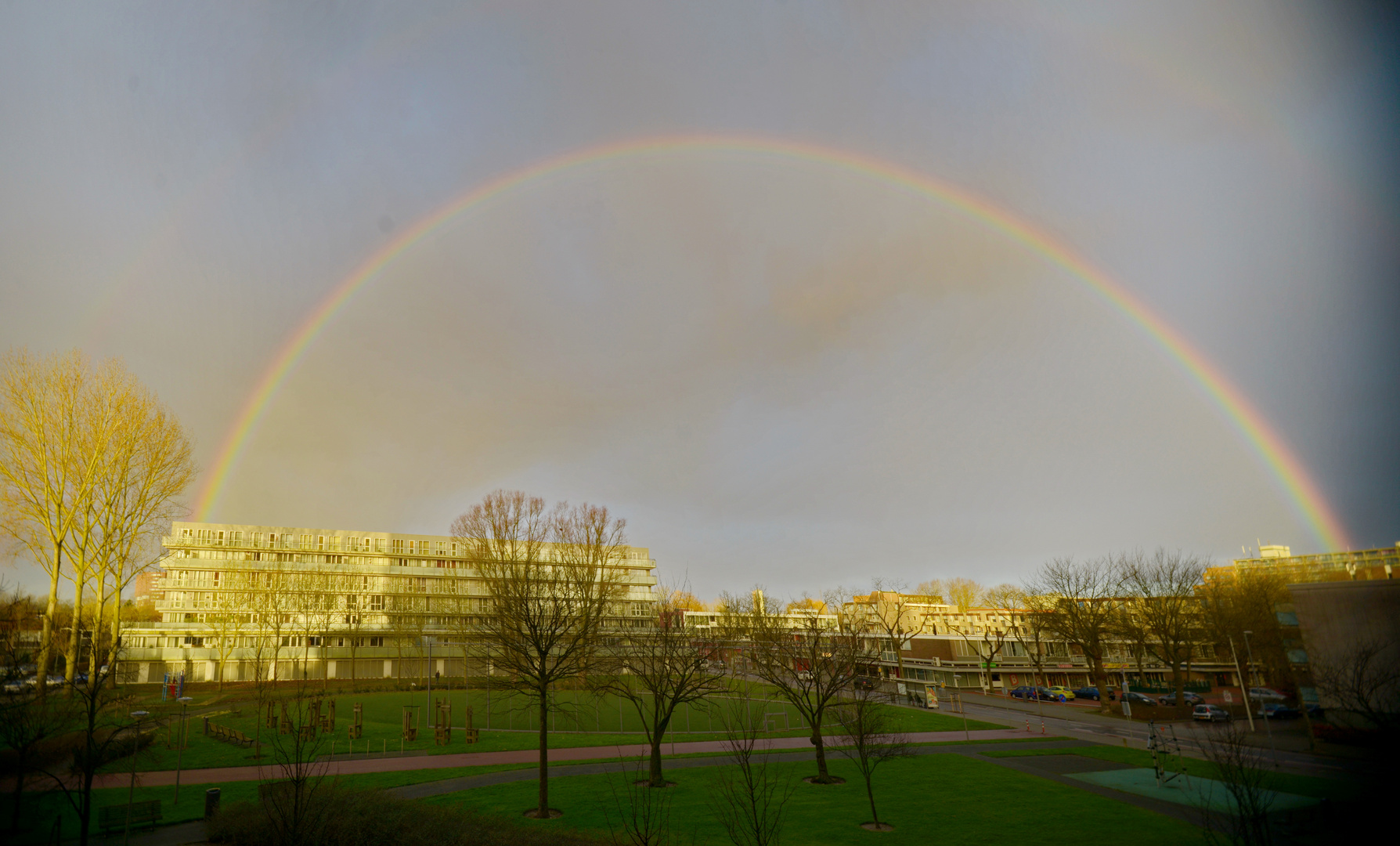 regenboge