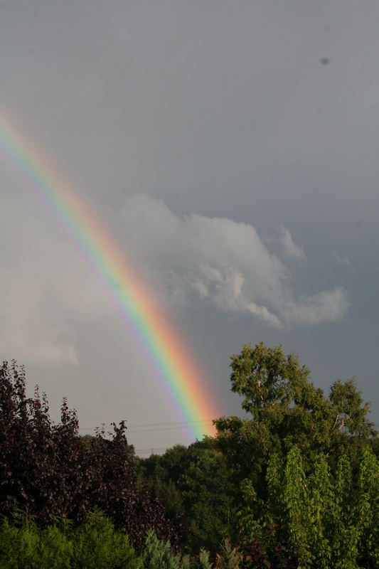 Regenbogen