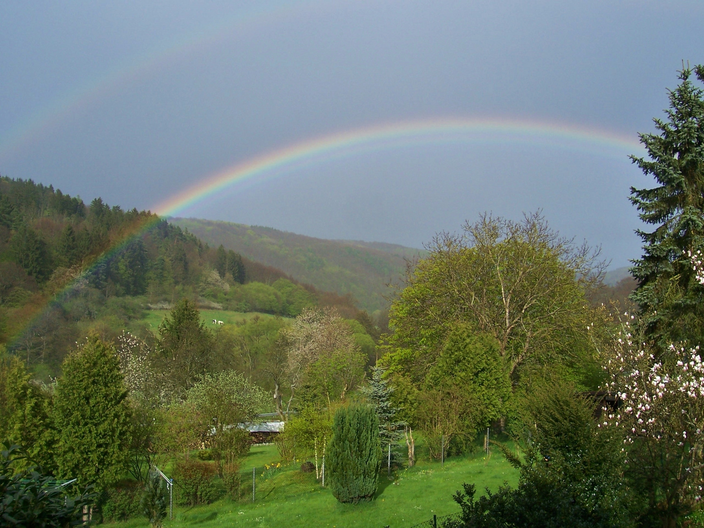 Regenbogen 01.05.2008