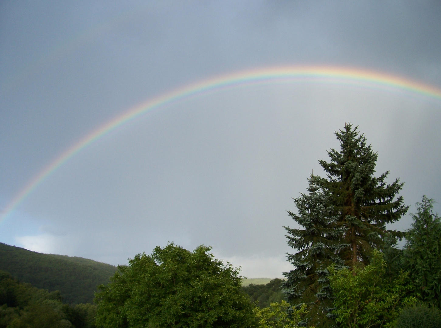 Regenbogen 01.06.2008