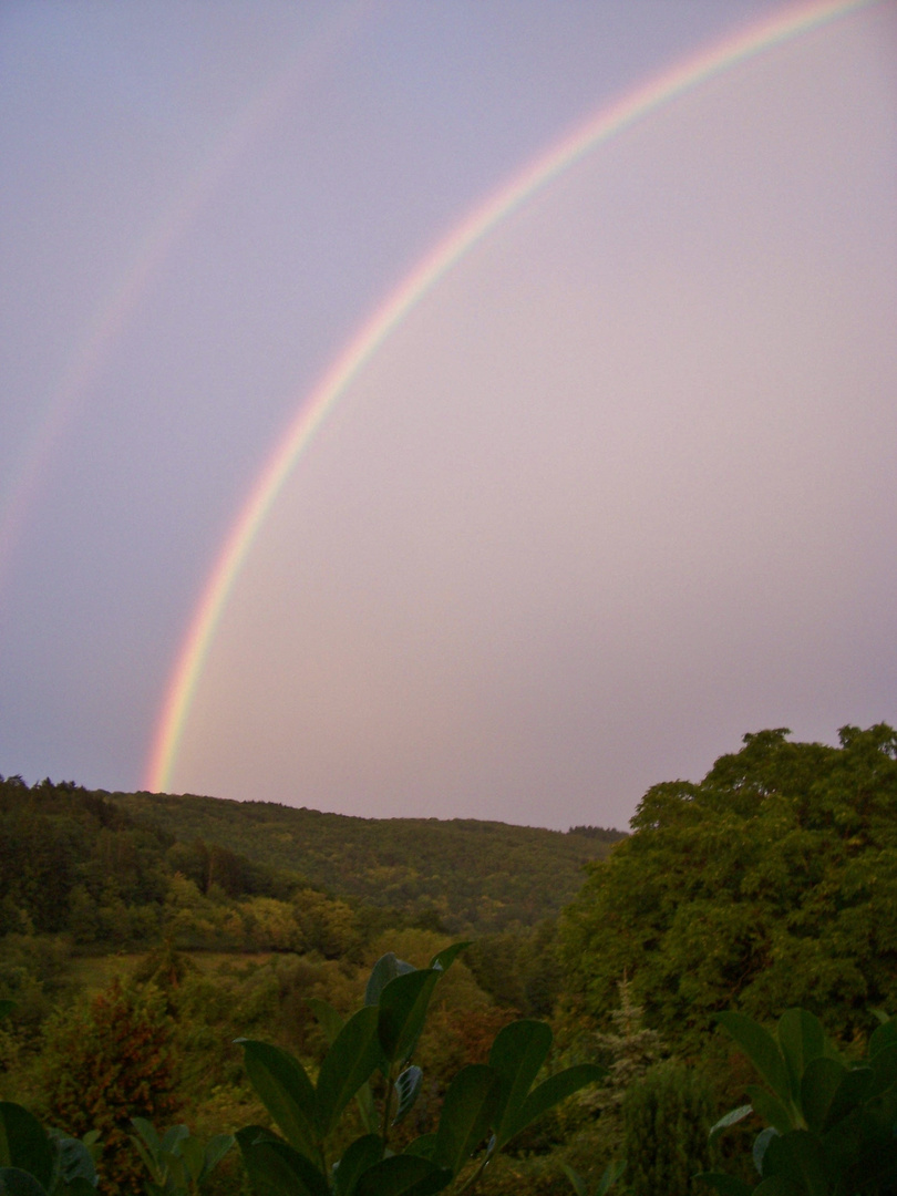 Regenbogen 01.09.2009