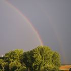 Regenbogen