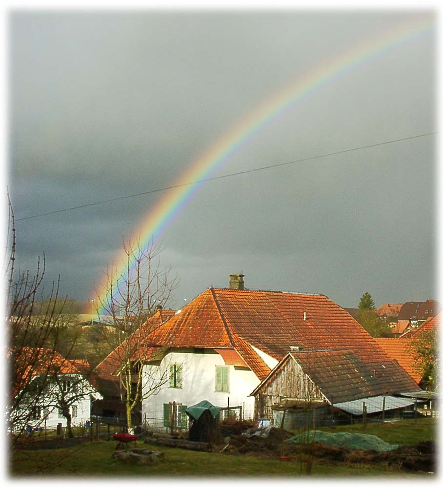 Regenbogen