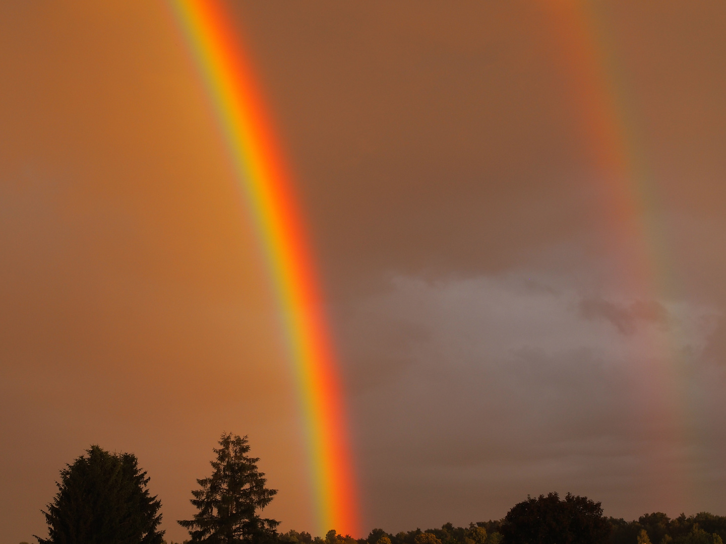 Regenbogen