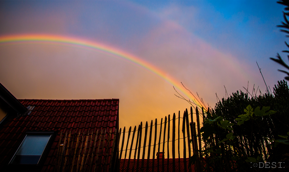 Regenbogen