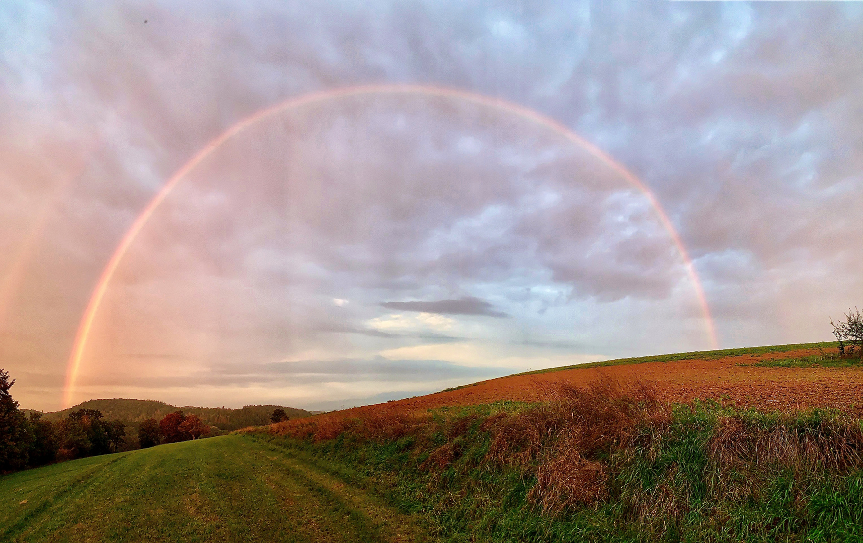 Regenbogen 