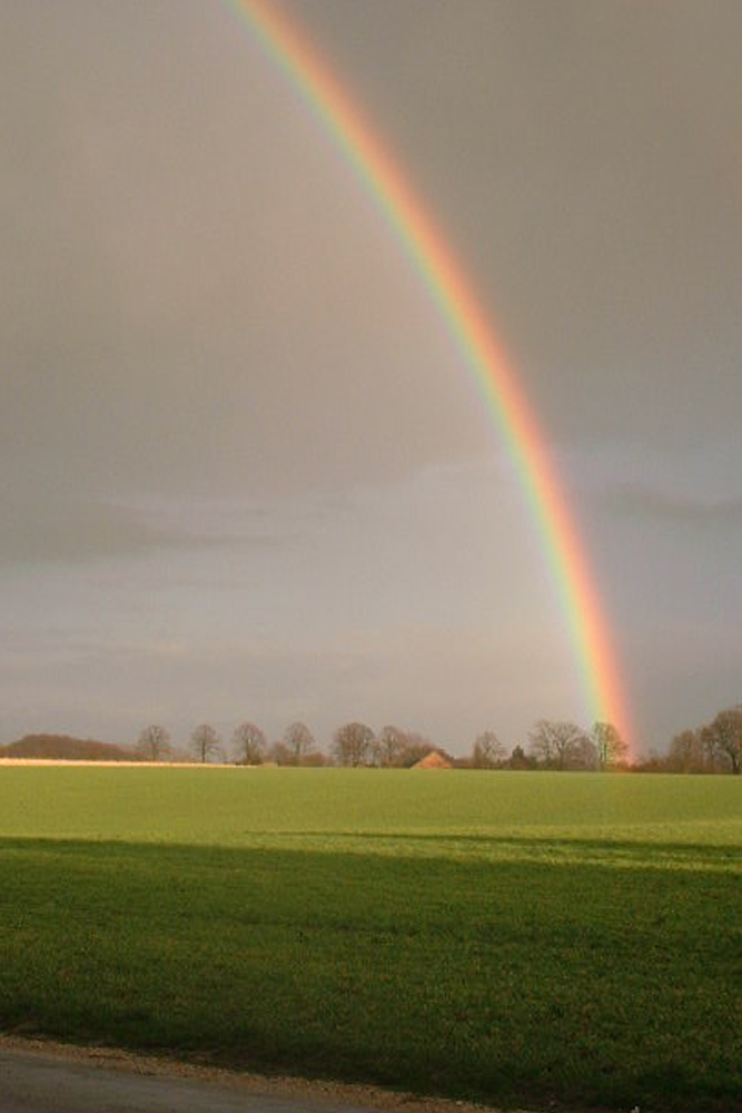 Regenbogen