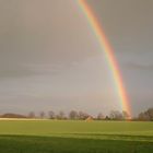 Regenbogen