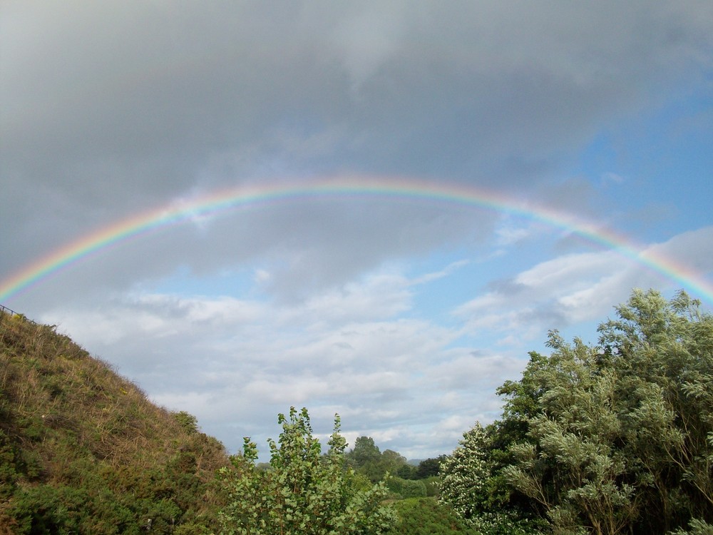 Regenbogen