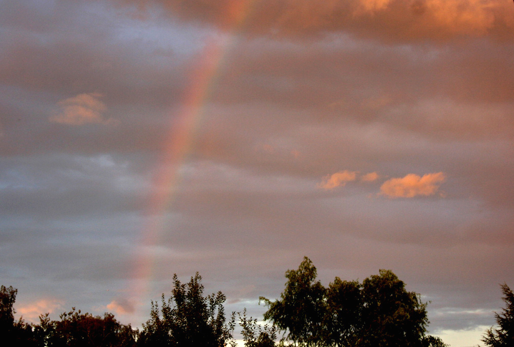 Regenbogen