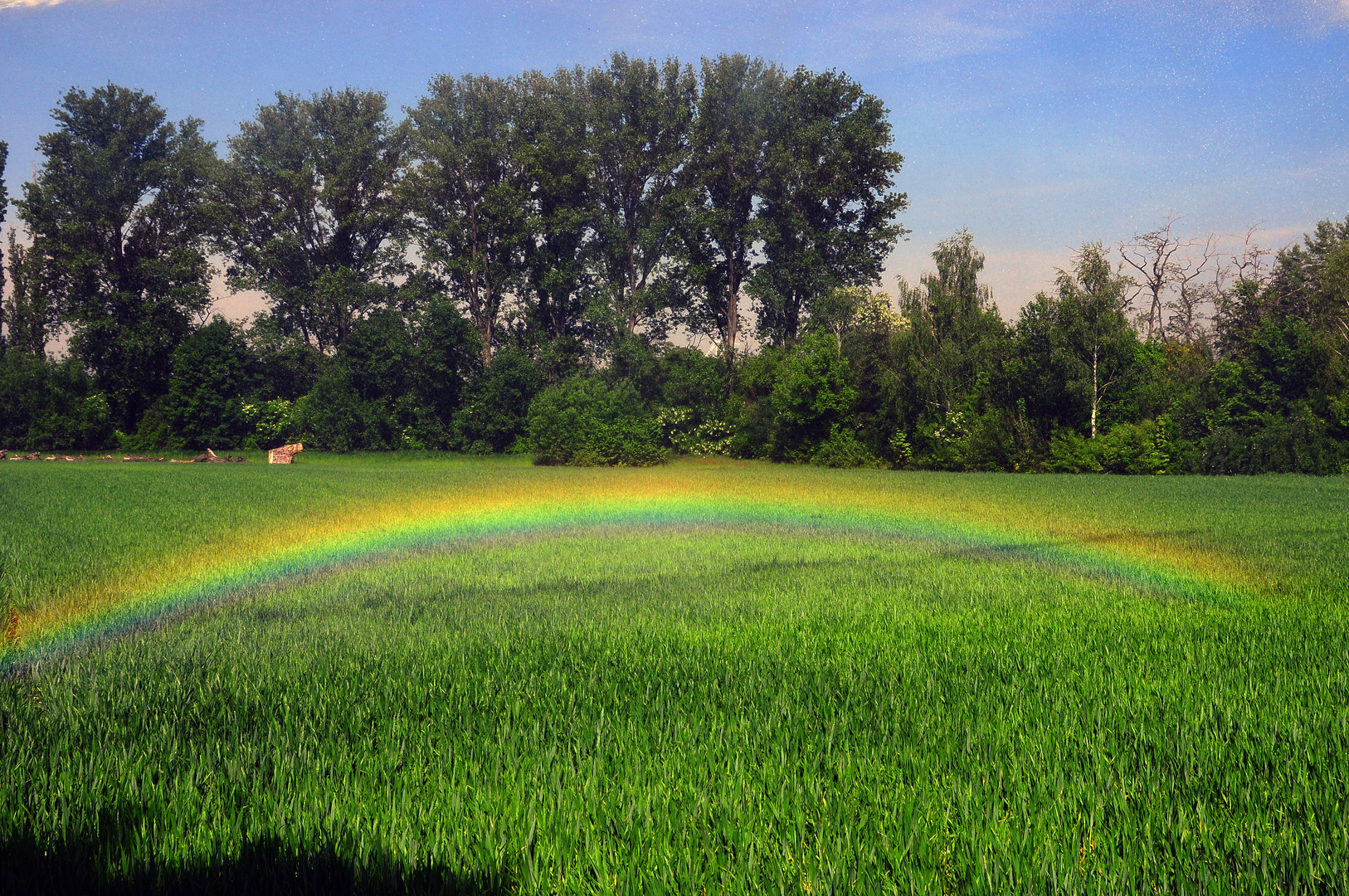 Regenbogen