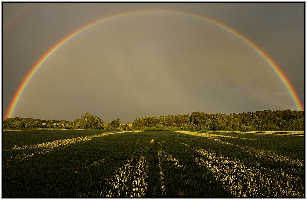 Regenbogen