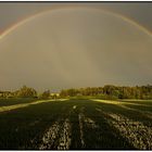 Regenbogen