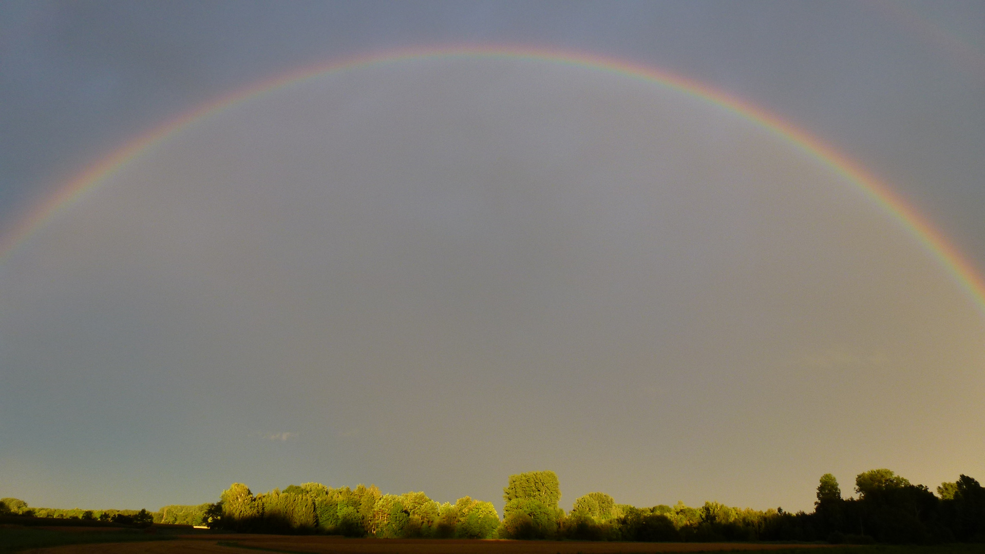 Regenbogen