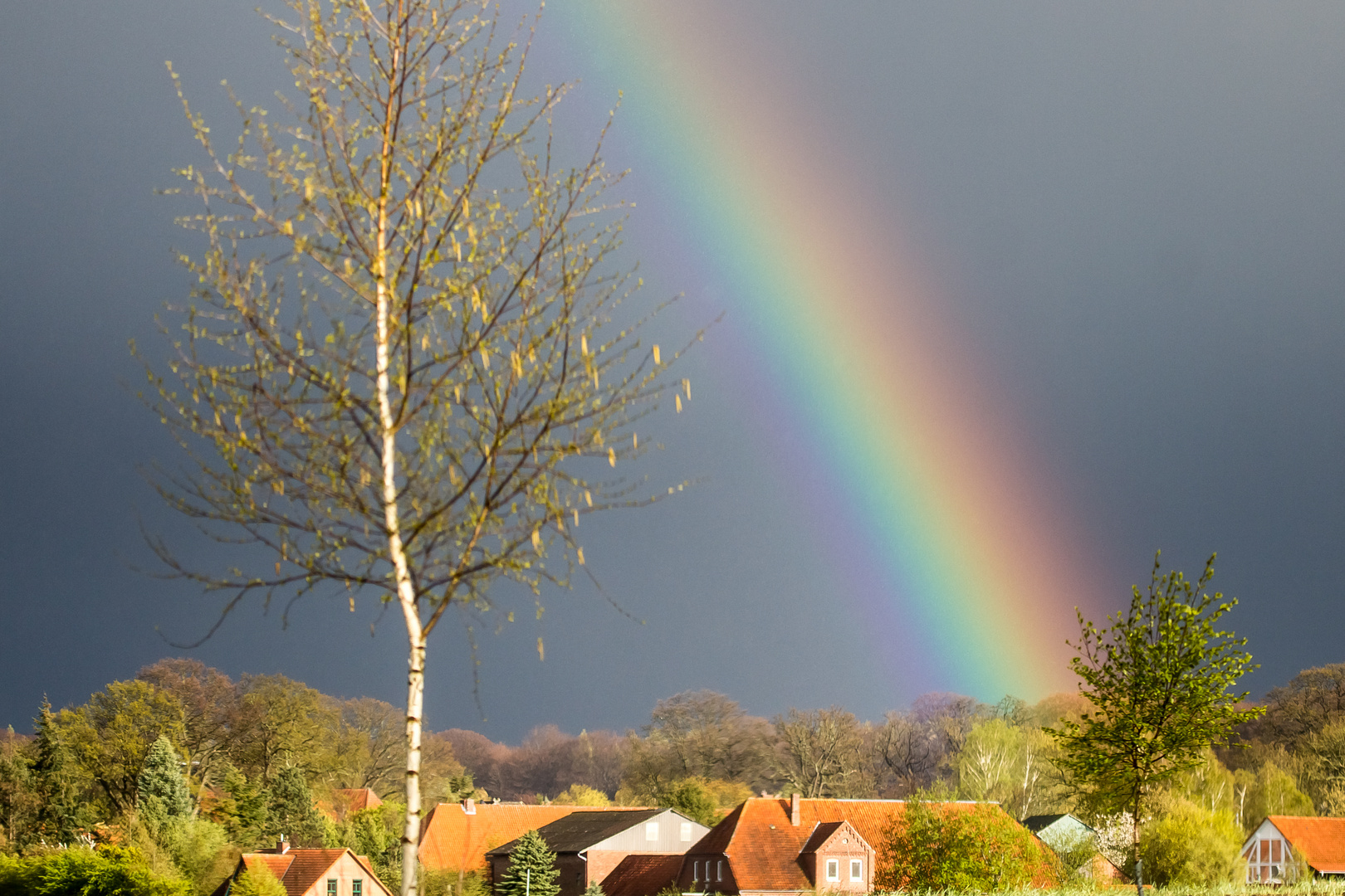 Regenbogen