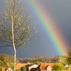 Regenbogen