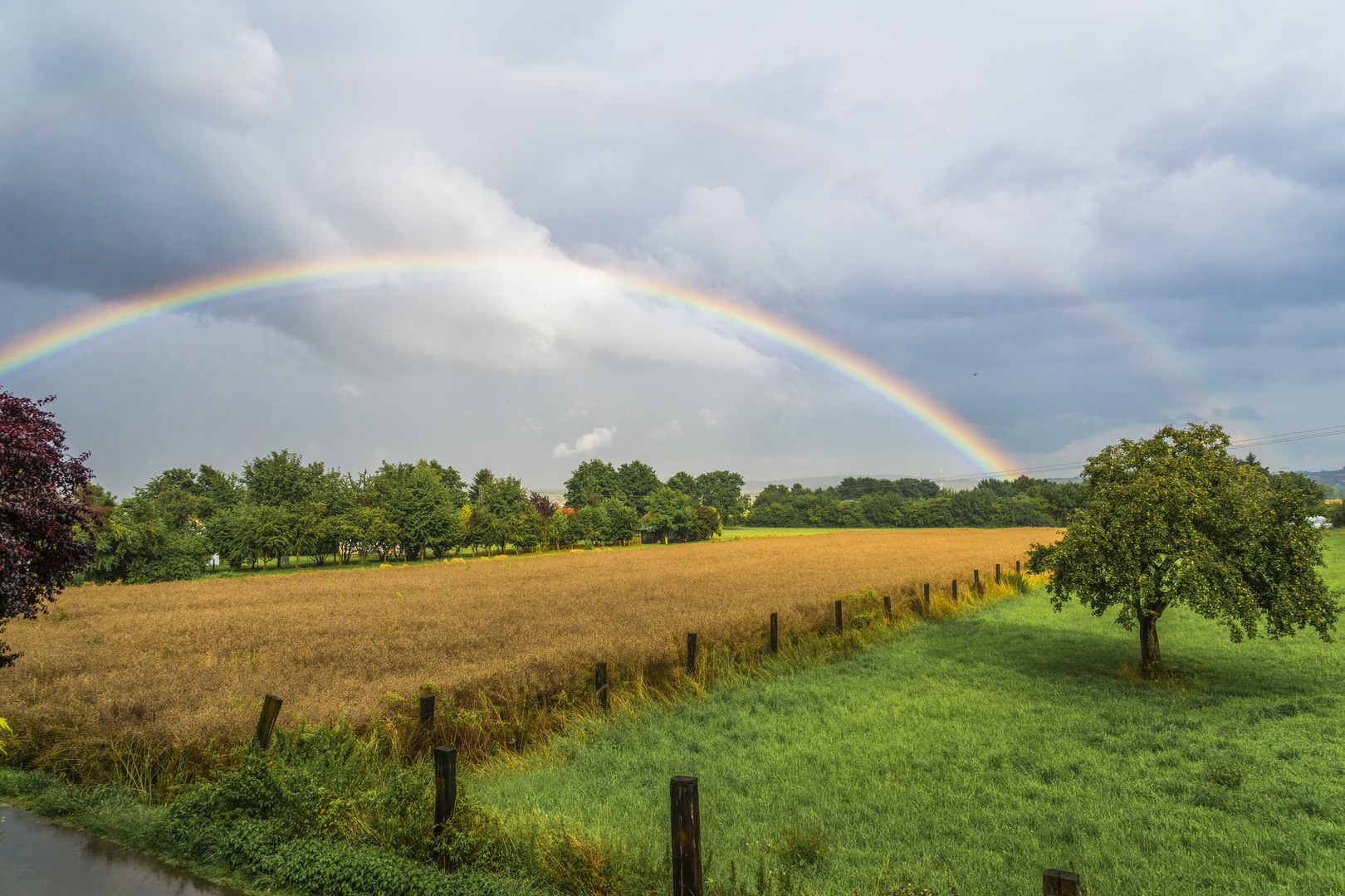 Regenbogen