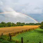 Regenbogen