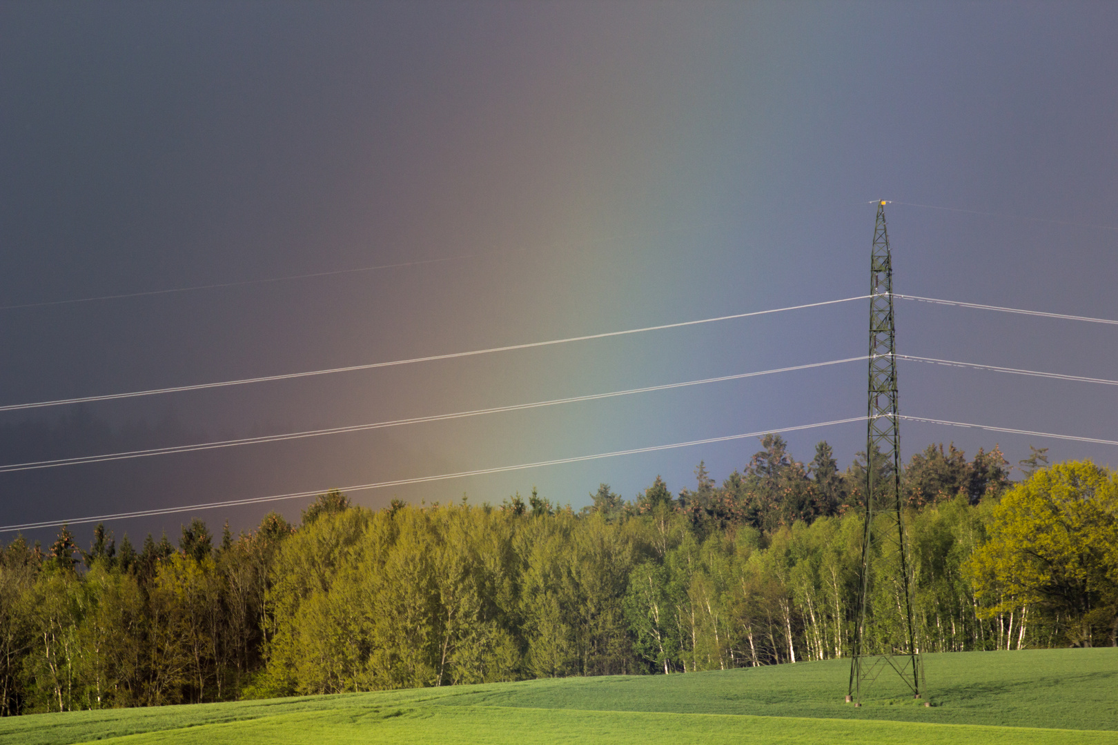 Regenbogen