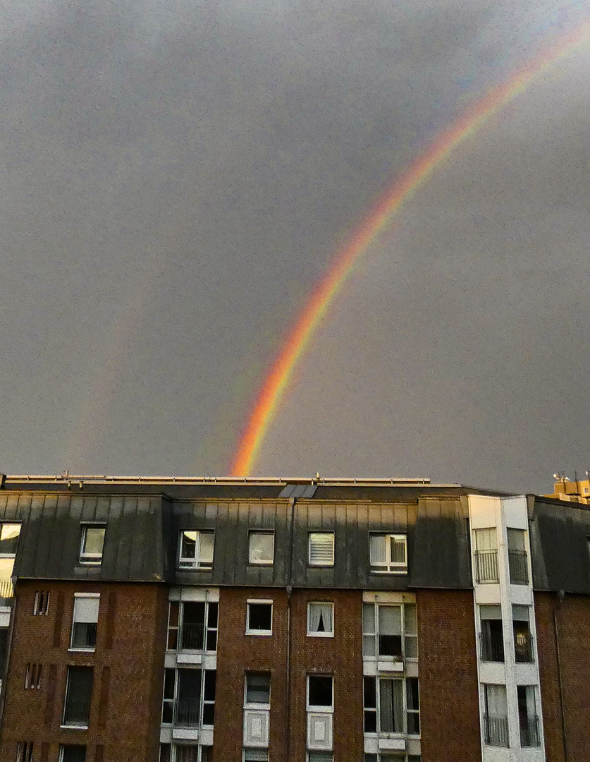 Regenbogen