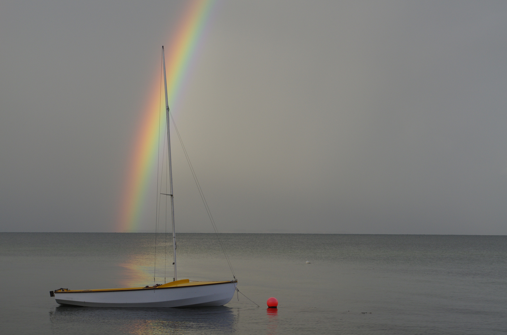 Regenbogen