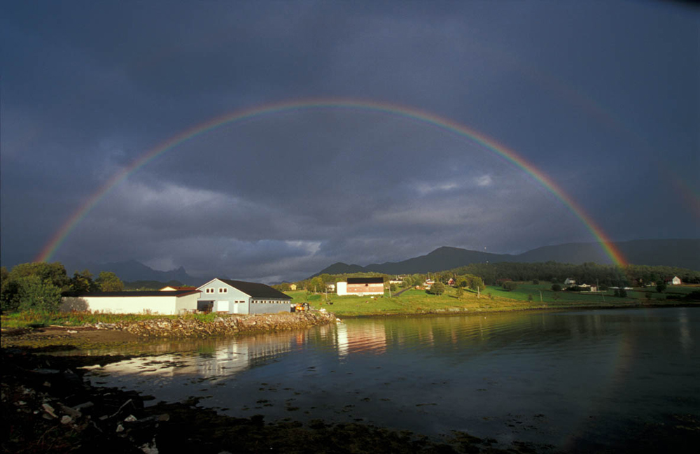 Regenbogen