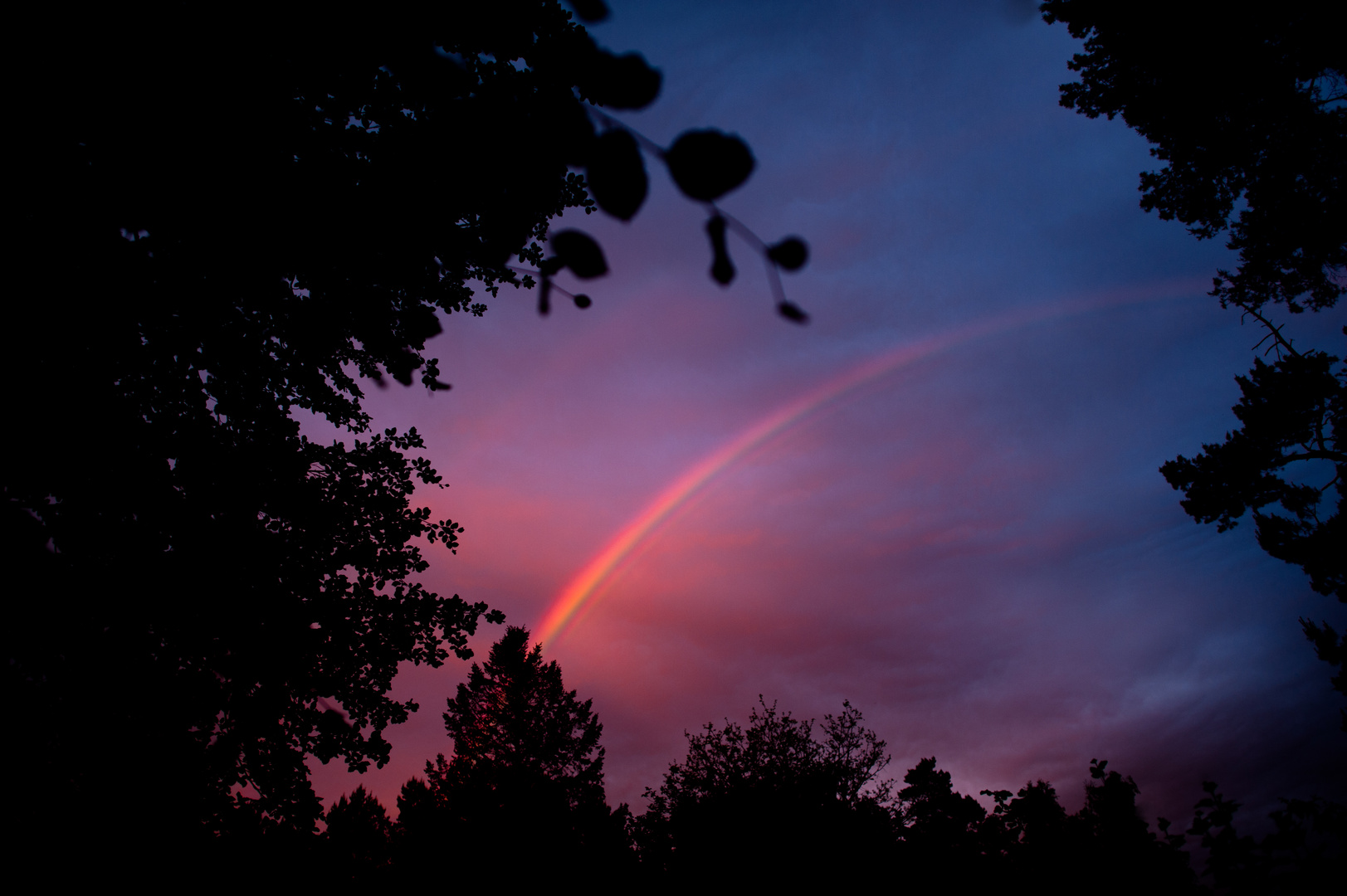 Regenbogen