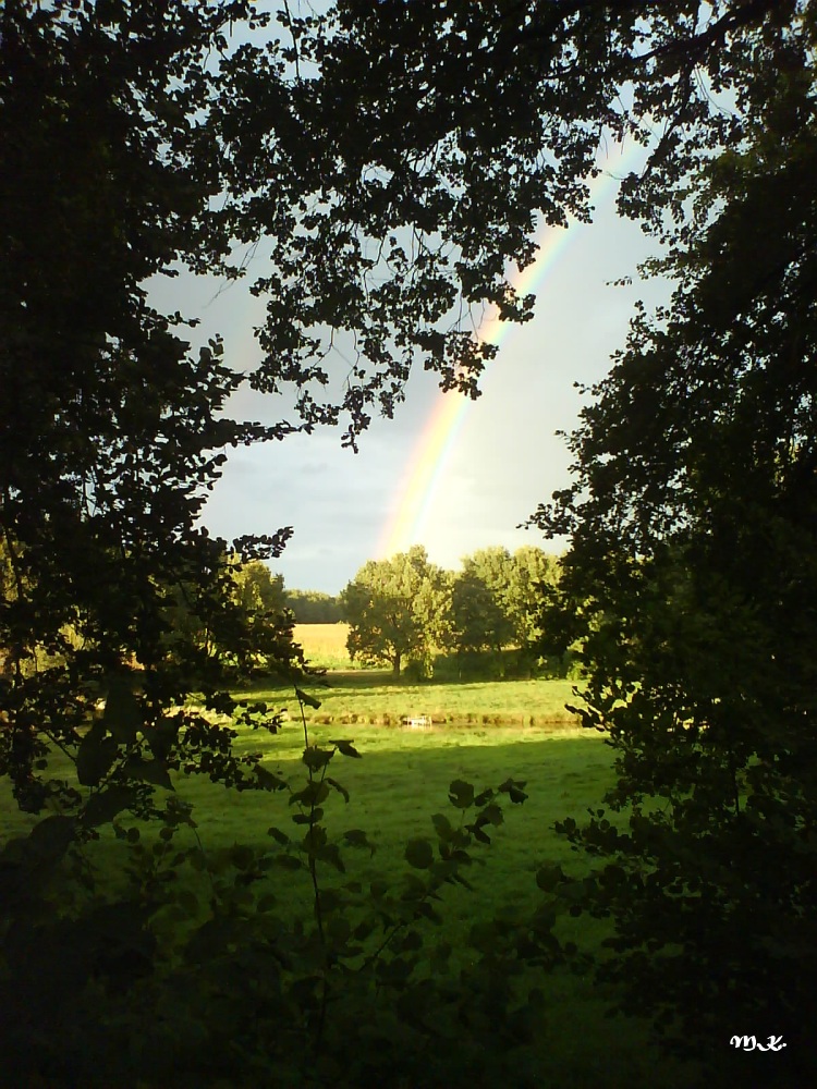 Regenbogen