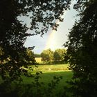 Regenbogen