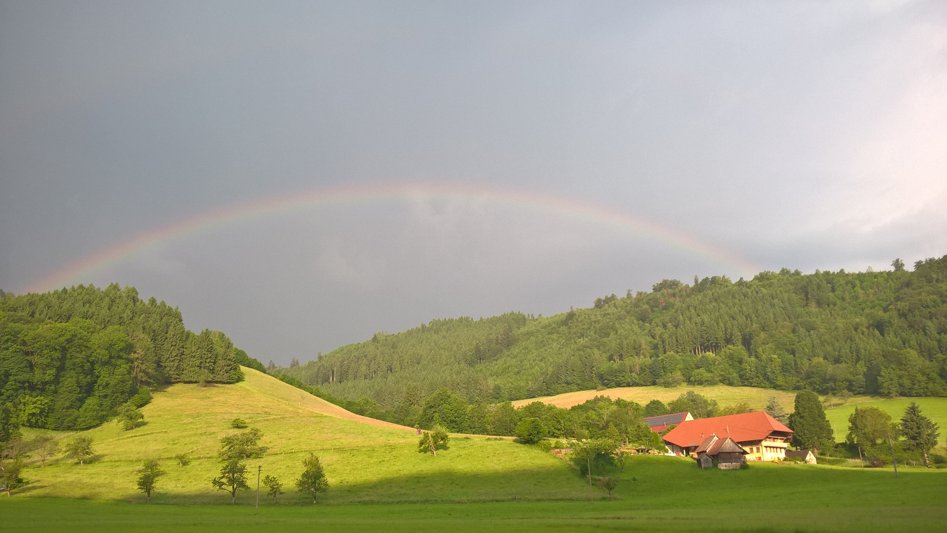 Regenbogen ???? 