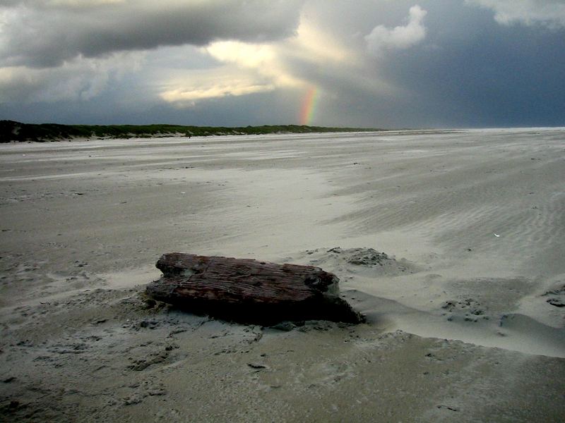 Regenbogen