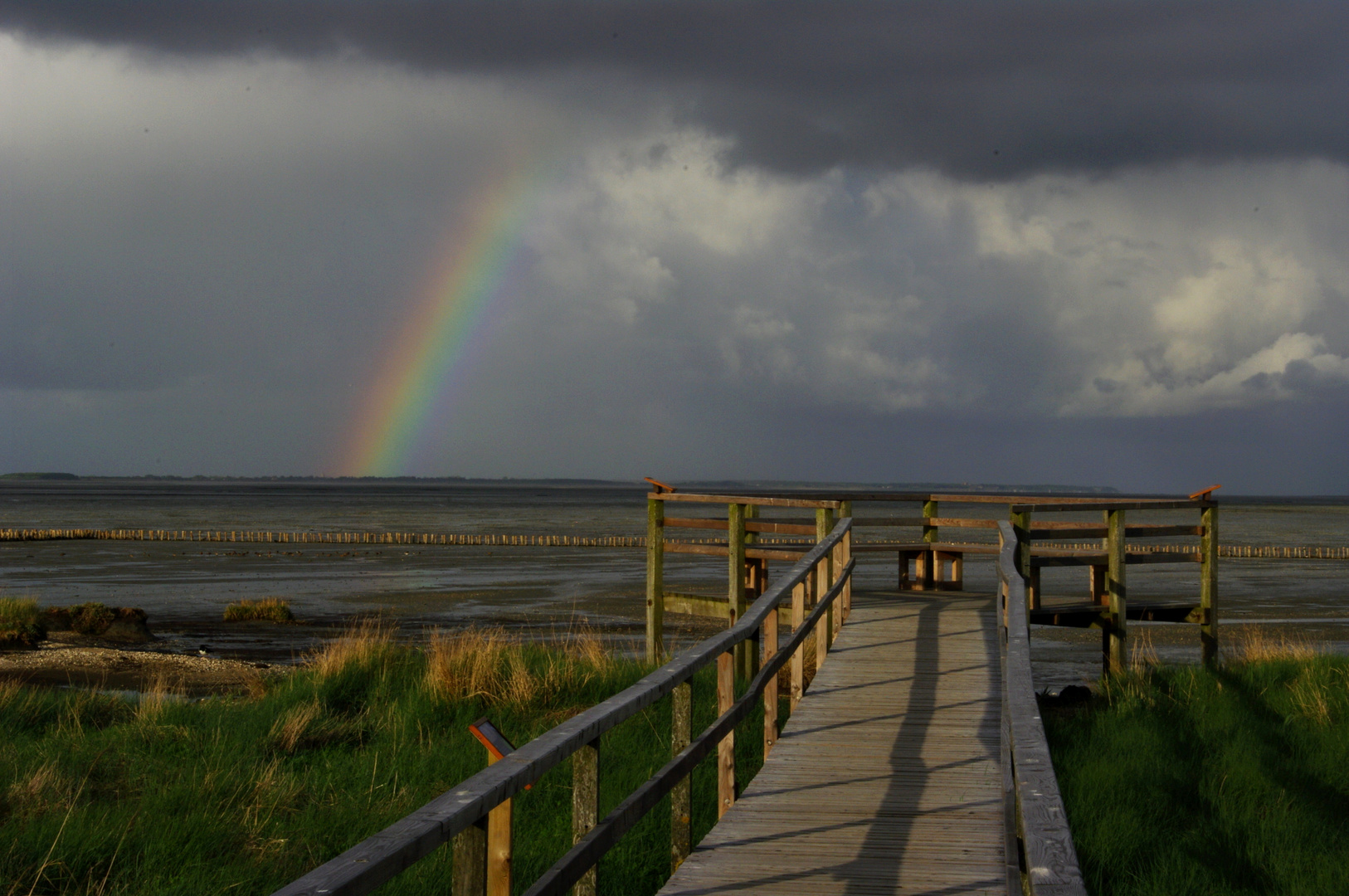 Regenbogen