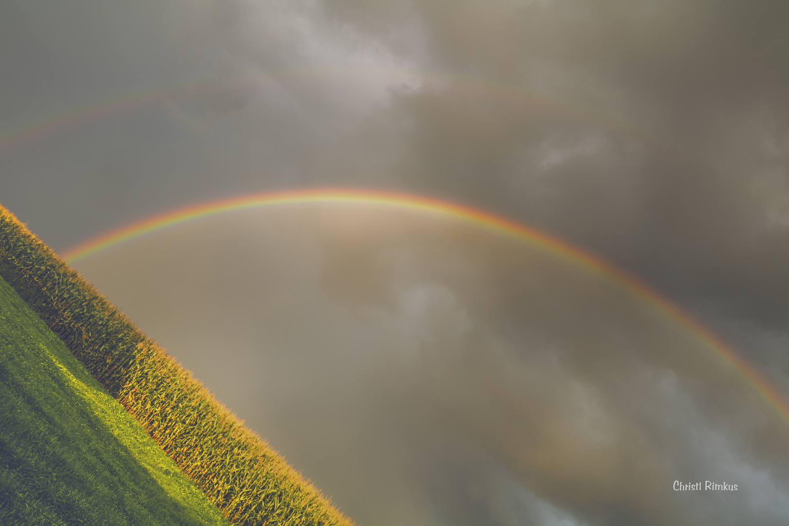 Regenbogen