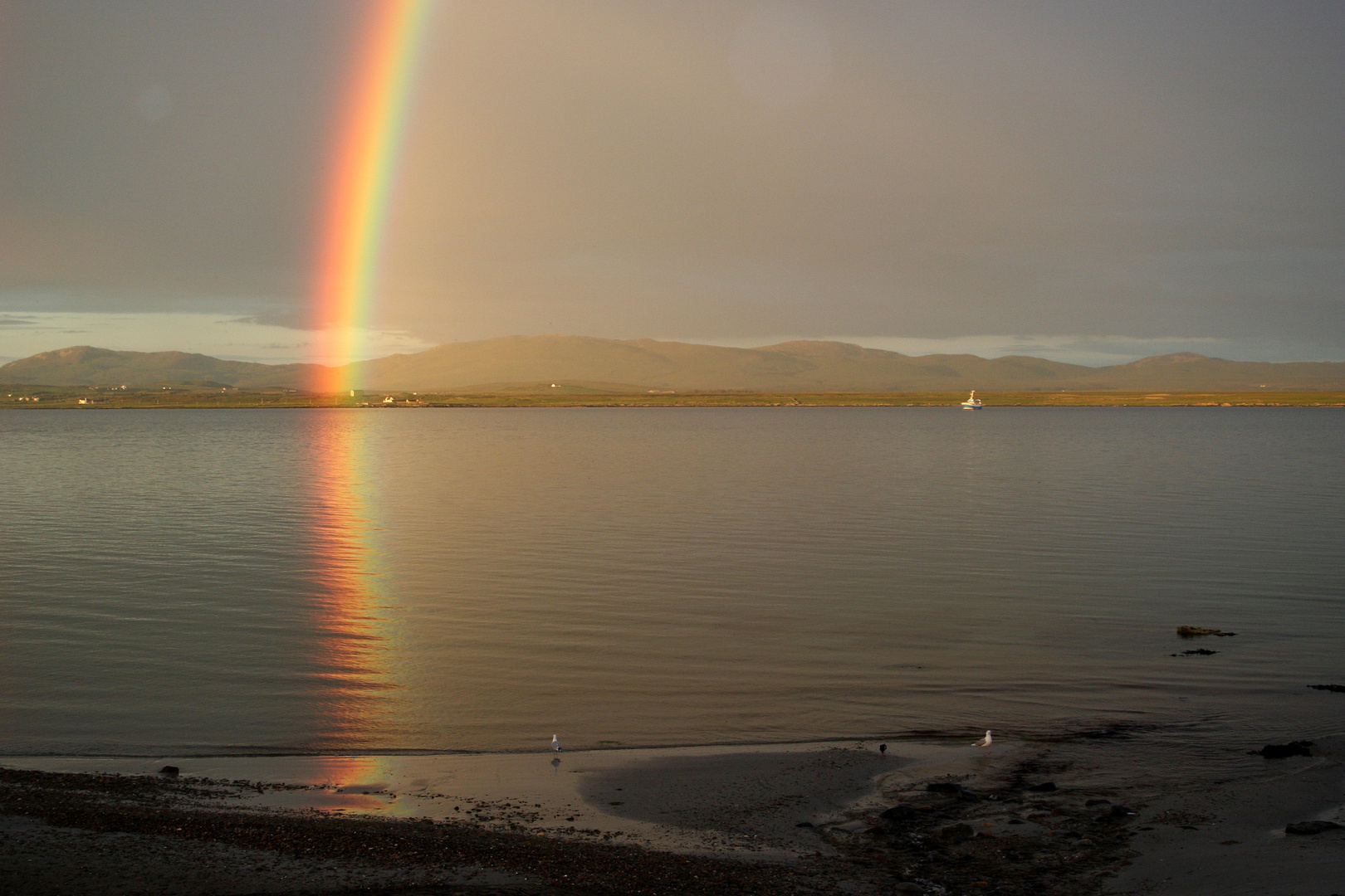 Regenbogen