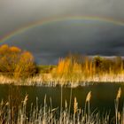 Regenbogen