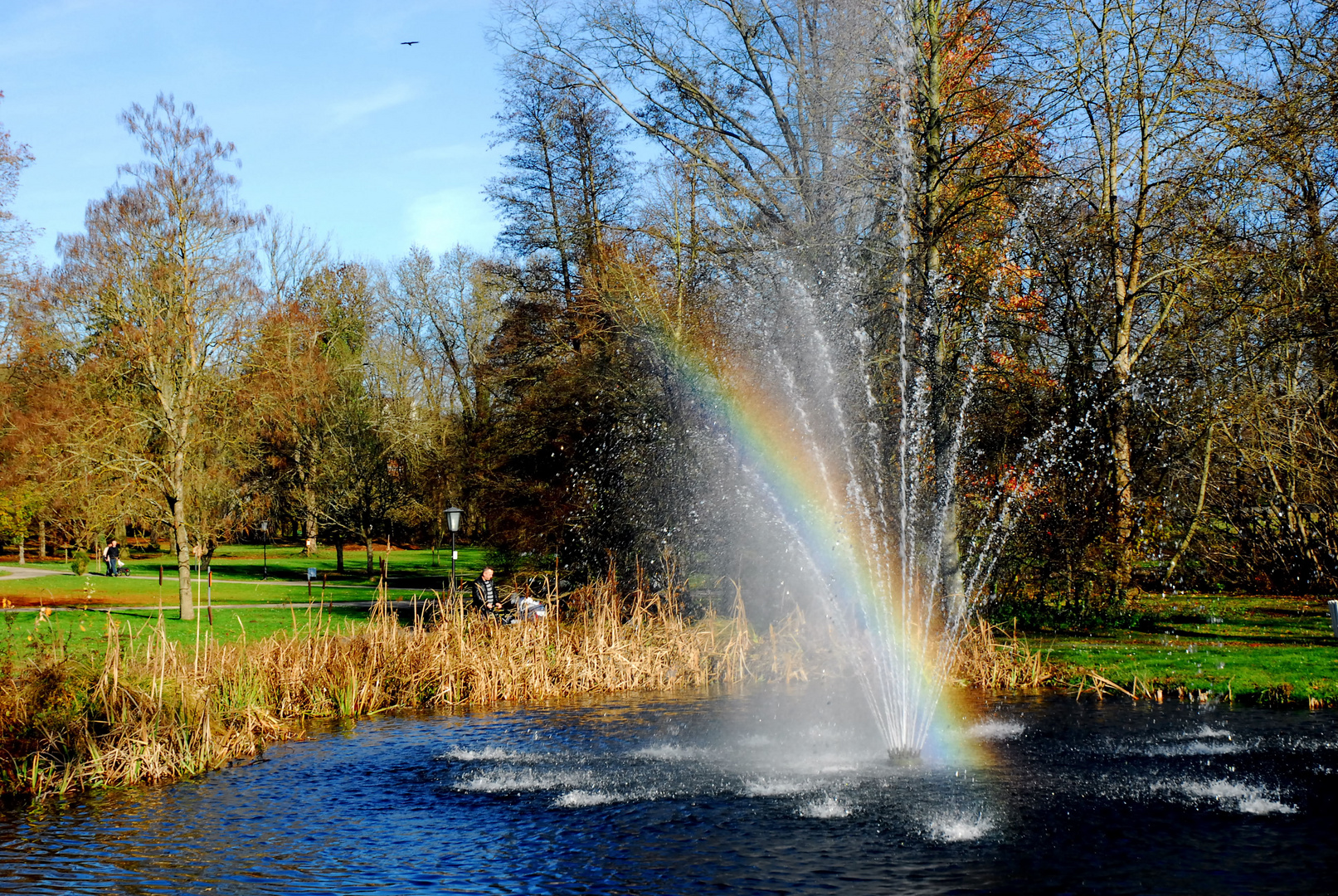 Regenbogen