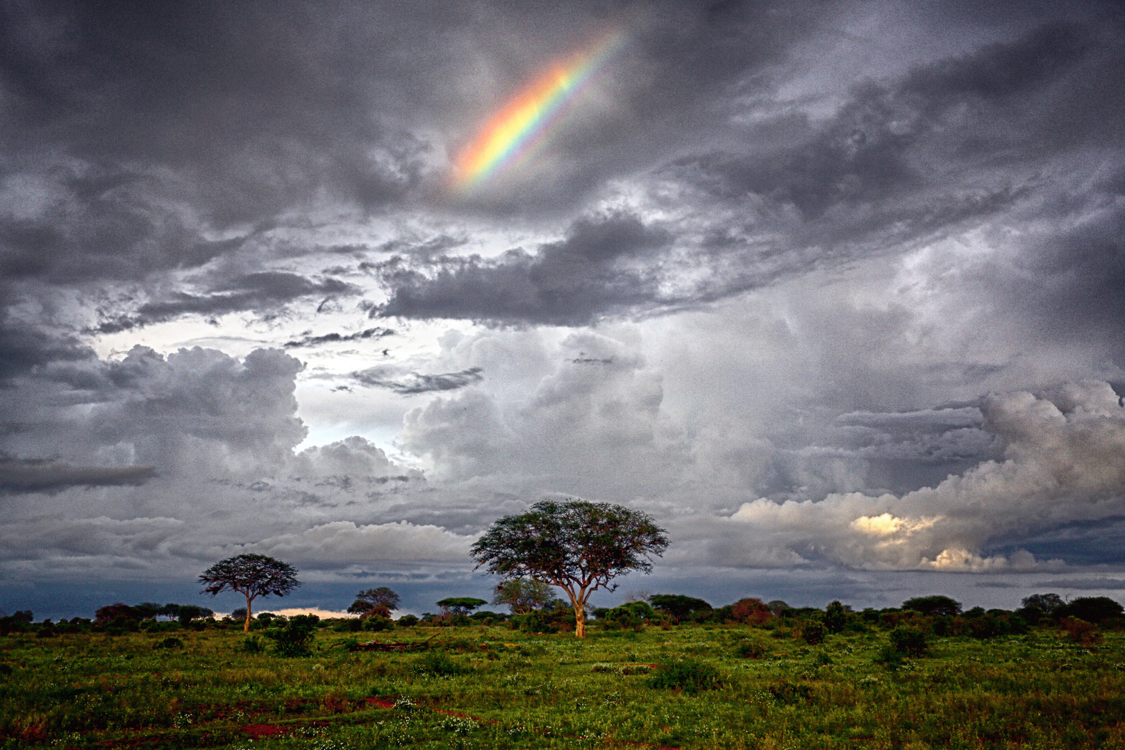 Regenbogen...